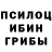 Псилоцибиновые грибы MAGIC MUSHROOMS Burt Cooper