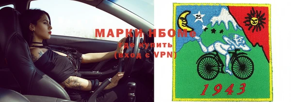 шишки Арсеньев