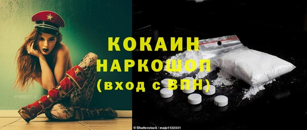 шишки Арсеньев