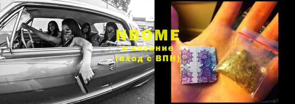 шишки Арсеньев