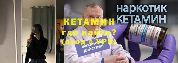 шишки Арсеньев