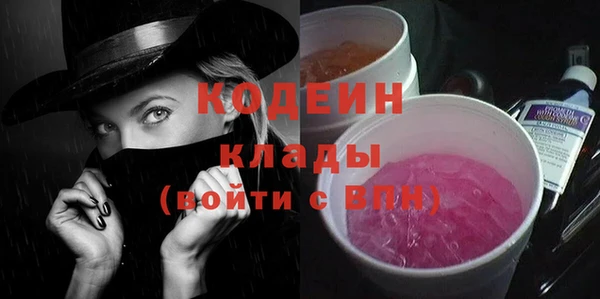 шишки Арсеньев
