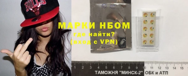 шишки Арсеньев
