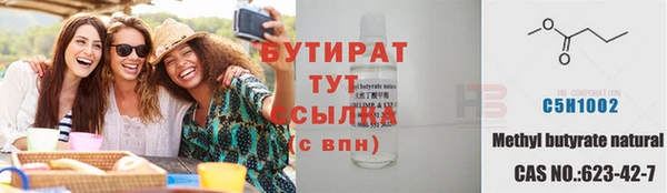шишки Арсеньев