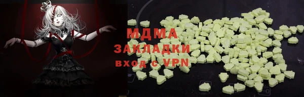 шишки Арсеньев