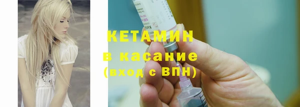 крисы Аркадак