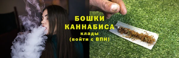 шишки Арсеньев
