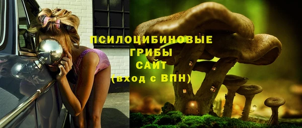 шишки Арсеньев