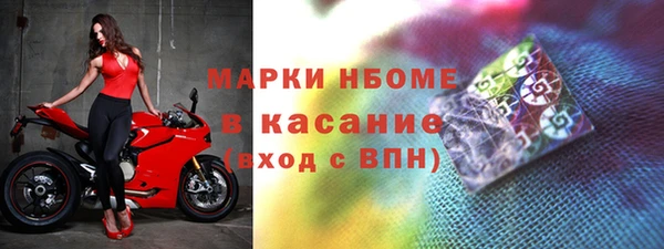 шишки Арсеньев