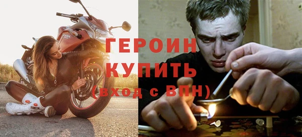 шишки Арсеньев