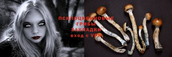 крисы Аркадак