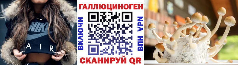 ОМГ ОМГ ТОР  хочу наркоту  Армянск  Галлюциногенные грибы Psilocybe 